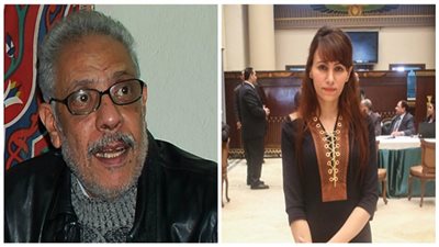 نبيل الحلفاوي يوجه رسالة للنائبة دينا عبد العزيز