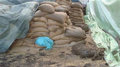 ضبط 230 طن أقماح مصابة حشريًا بالشرقية 