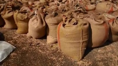 ضبط مدير شونة بحوزته 1280 طن قمح فاسد في الشرقية