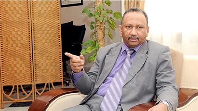 وصول 248 سودانيا كانوا محتجزين لدى الجزائر 