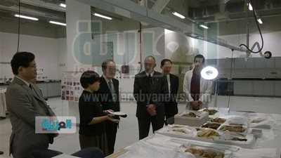 مدير متحف طوكيو يرحب بالتعاون الياباني المصري في مجال الآثار