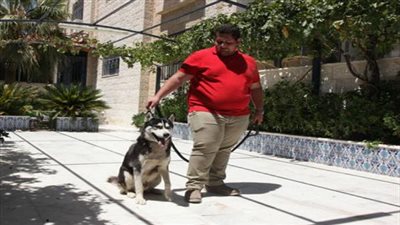 أسكتلندا تضاعف الغرامة على أصحاب الكلاب لعدم إزالتهم الفضلات 