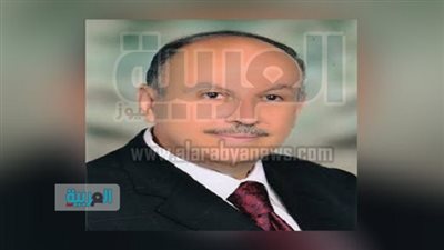 مصر تستعين بالخبرة اليابانية في مجال 