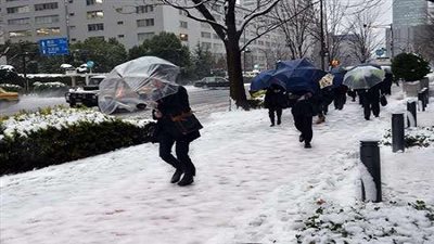 إصابة 260 شخصا جراء تساقط الثلوج في شرق وشمال اليابان