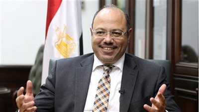 لمناقشة القوانين الفنية.. وزير المالية يدخل البرلمان