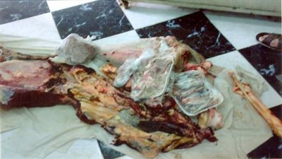 ضبط 89 كيلو لحوم ودهون فاسدة بالبحر الأحمر 