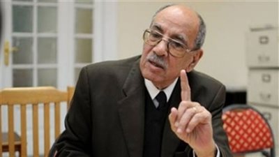 عبد الغفار شكر: لهذه الأسباب لن توجّه مصر 