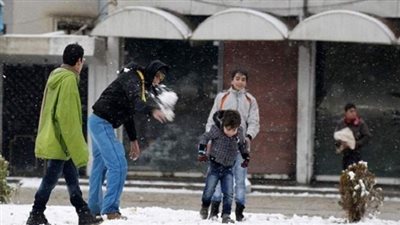 بالفيديو والصور.. 