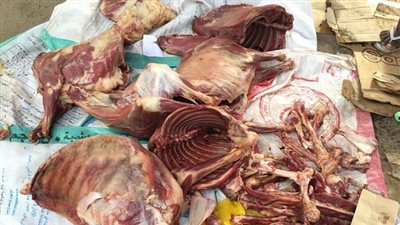 ضبط 700 كيلو لحوم فاسدة بالعجوزة 