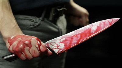 إحالة قاتل أسرة سفير مصر بـ