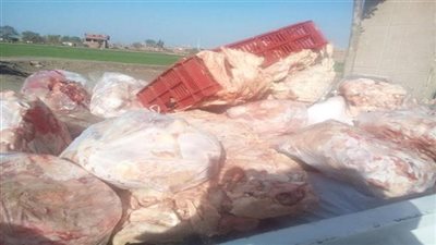 ضبط هياكل دواجن فاسدة بالخانكة