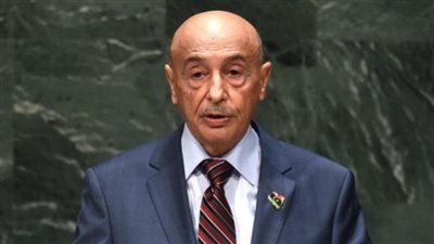 الإثنين.. رئيس البرلمان الليبي يدعو النواب لجلسة هامة 