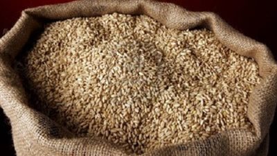 نقيب الفلاحين يطالب بزيادة سعر أردب القمح لـ 550 جنيهًا 