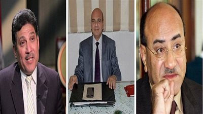 النائب عصام الدين القاضي: جنينة 