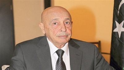 برلماني ليبي: 