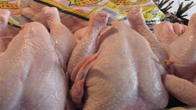 اليوم.. الفراخ في القاهرة بـ 9 جنيهات 