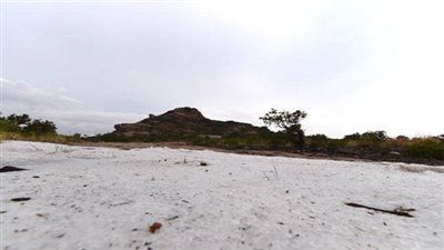 تعليق الدراسة بشمال السعودية بسبب تساقط الثلوج 