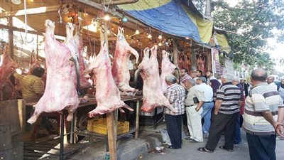 ضبط لحوم مستوردة تباع على أنها إنتاج القوات المسلحة بالمحلة