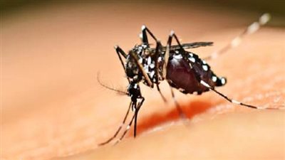 اليابان تكثف التدابير الصحية لمنع انتشار فيروس 