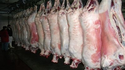 الأقصر تتسلم كميات من اللحوم المبردة لمواجهة الغلاء