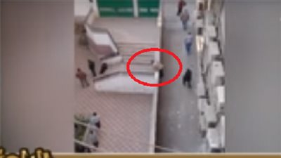 بالفيديو.. التعليم: إحالة المدرسين 