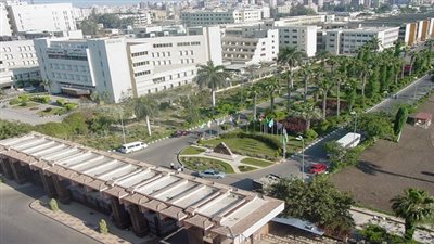 جامعة المنصورة في المركز الـ 9 عربيًا وأفريقيًا