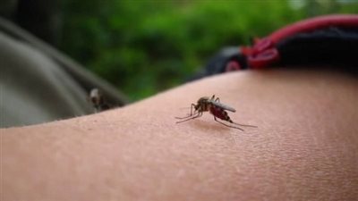  بريطانيا تستخدم جميع السبل المضادة لفيروس 