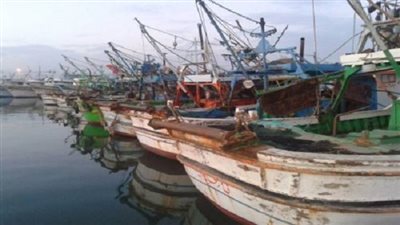 موجز المحافظات.. توقف حركة الصيد ببحيرة البرلس لليوم الثاني.. انتعاش رحلات البالون الطائر بالأقصر.. السيطرة على حريق بمزارع شركة لإنتاج الدواجن في الشرقية