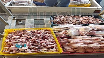 بالصور.. ضبط لحم دجاج منتهي الصلاحية بمطعم شهير في دمياط 