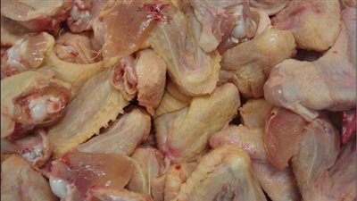 ضبط 500 كيلو جرام دجاج فاسد بدمياط 