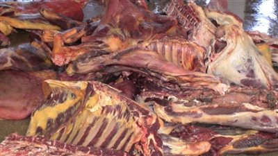 مباحث التموين: ضبط 7 أطنان لحوم غير صالحة للاستخدام الآدمي