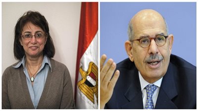 الأزمات تطحن حزب البرادعي .. و3 حلول لإنقاذ