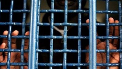 لجنة التحقيق الدولية المعنية بسوريا ترحب بإفراج الحكومة عن ناشطين