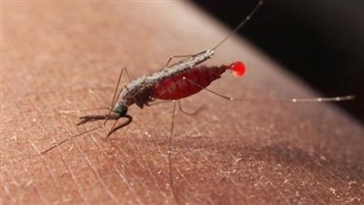 وزير الطيران يناقش إجراءات منع انتشار فيروس 