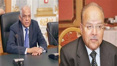 بالفيديو.. سري صيام: 