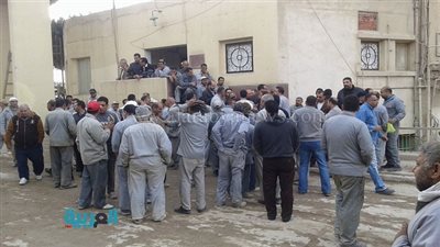 اشتعال أزمة الشركة المالية بكفر الزيات.. والعمال يعلنون الاعتصام