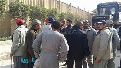 بالصور.. عمال 