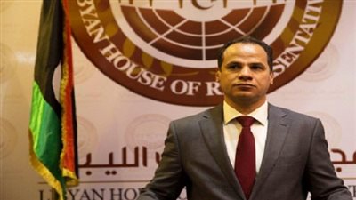 النائب الثاني لرئيس مجلس النواب الليبي يزور تشاد