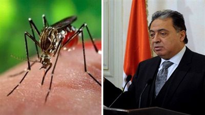هل انتشر فيروس زيكا في مصر؟.. 