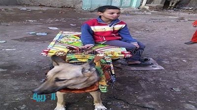 موجز المحافظات.. 