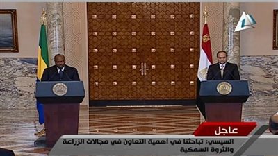 السيسي يجري مباحثات مع نظيره الجابوني
