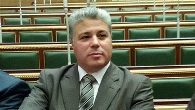 النائب محمود يحيي: مصر تمارس الديموقراطية بكافة أنواعها