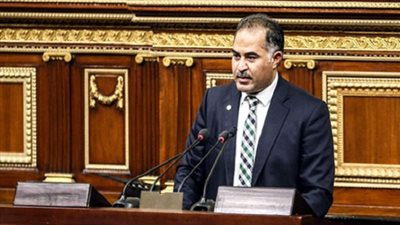 بالفيديو.. وكيل مجلس النواب: 
