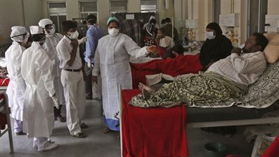 ارتفاع الوفيات بمرض أنفلونزا الخنازير بالبحيرة‎