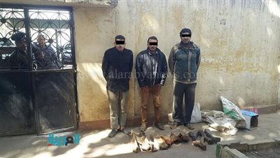 ضبط 3 عاطلين متلبسين بسرقة مهمات السكك الحديد بطنطا