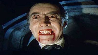 شاهد.. القبض على 