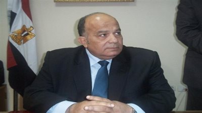 محافظ الدقهلية بالرئيس التنفيذي لشركة 