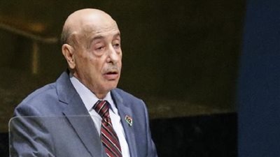 ليبيا تعلن دعمها رسميًا للمرشح المصري لمنصب أمين عام الجامعة العربية 