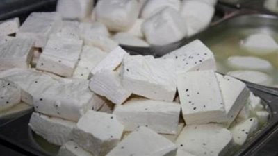 مباحث التموين تضبط مصنعًا لإنتاج الجبن دون ترخيص بالغربية 
