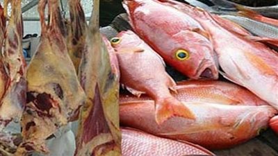 ضبط 6 أطنان لحوم وأسماك فاسدة في ثلاجة سلع غذائية بالحوامدية